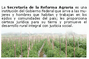 Sector Agrario